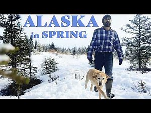 SPRING IN ALASKA (isn't what you think...)