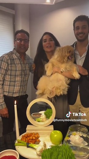 Top Funny Fails and Best Moments from TikTok