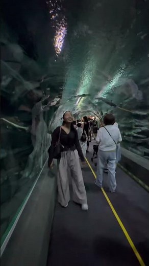 South Korea in Autumn 🍂 🇿🇦🇰🇷- Swim @BTS #bts #btsarmy #southkorea