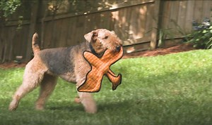 Watch TUFFY Pterodactyl Video on Amazon Live