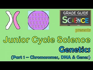 Genetics (Part 1) Chromosomes, DNA & Genes - Junior Cycle Science - Revision Video