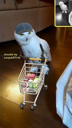 🛒🛒🛒 SHOPPERS 🛒🛒🛒 #throwback #leopartnik