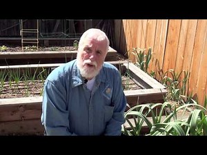 Increase Your Sweet Corn Yield