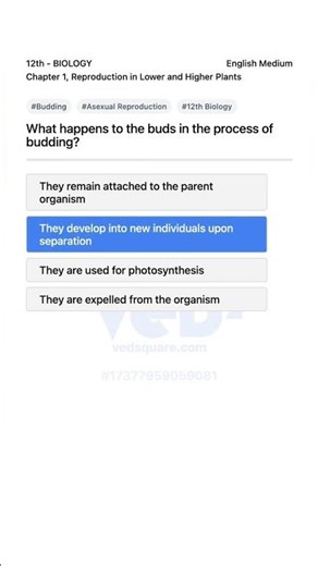Budding Process in Plants 12th Biology Reproduction