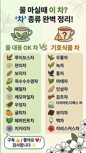 물 마실때 이 차? '차' 종류 완벽 정리!