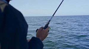 56 reactions | Mit der Sustain auf Sea Bass! #Sustain #FishShimano | Shimano-Predator | Facebook