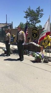 Los Angeles County Sheriff's Department on Reels