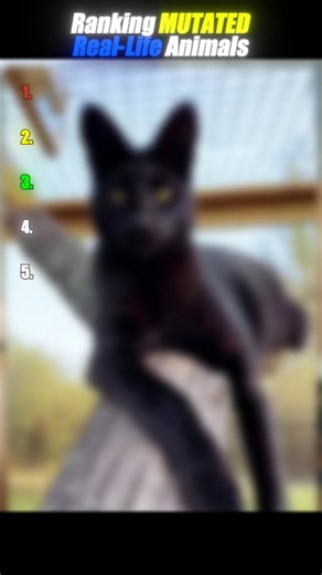 5 Animals With Rare Mutations You’ll Never See 😱🐾