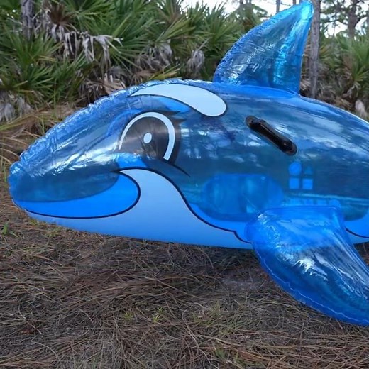 H2OGO! Whale Ride-On Pool Toy from Bestway