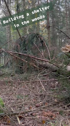 bw-online-shop (@bwonlineshop)’s videos with Originalton - bw-online-shop