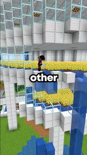 What NOT to Do On My Minecraft Server #minecraft #server #smp