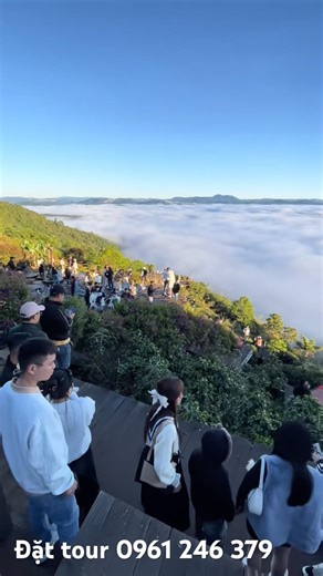 Đặt tour săn mây Đà Lạt 1 ngày giá rẻ ở đâu? Có đón tận nơi không?