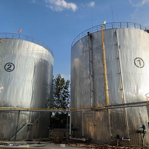 [Hot Item] Industrial-Grade Digester Tank Biogas Energy Power Plant Bsl Enameled Steel Assembly Tank for Large-Scale Projects