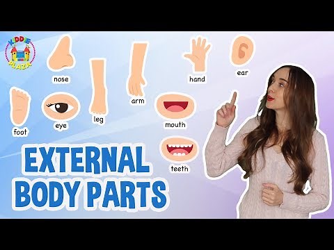 External Parts of body in English | Body Parts Name with Pictures