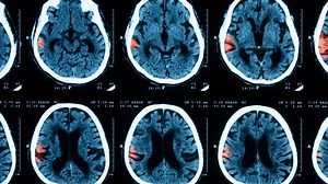 Facebook’s new AI teaches itself to see with less human help