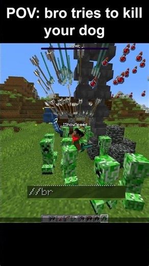 Minecraft dog meme #minecraft #minecraftmemes #minecrafter