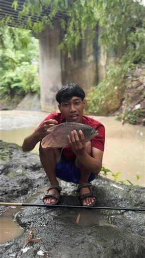 Mancing Hujan Hujan Disungai Dapat Ikan Pari #mancingmania #mancing #hujanhujanan #ikan #cariikan