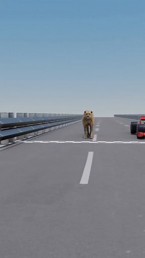 Utkarsh Tiwari | World's Fastest Car Vs Cheetah! 😱 ( 3D Animation in Hindi ) #reels | Instagram