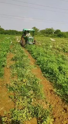 9.6K views · 85 reactions | #groundnutdigger #groundnutcultivation | DeeJay Farming | Facebook