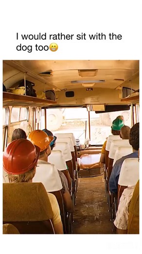 Movie Watch Clip on Instagram: "A Bronx Tale (1993) Overview A compelling crime drama set in 1960s Bronx, New York, that follows young Calogero “C” Anello as he grows up torn between the values of his hardworking father and the influence of local mob boss Sonny. The story explores loyalty, morality, love, and the challenges of adolescence in a neighborhood where choices shape the future. Credit Directed by Robert De Niro. Starring Chazz Palminteri, Lillo Brancato, Robert De Niro, and Francis Cap