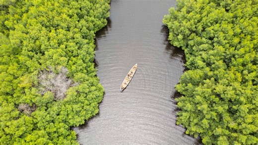 Building Resilience that Lasts: Game Changers for a Livable Planet