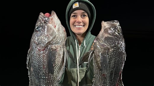 Striped bass fall run peaking, while jumbo sea bass await offshore