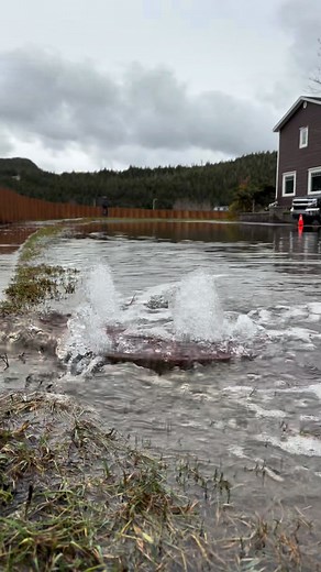 Water gushing up through the man holes around the breakwater Tidal flooding from the Super Moon Placentia November 6th,2025 #ShareYourWeather | Vanessa Moon Photography