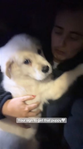 One whole month of Boo bear 🤍