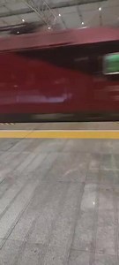 沪萨神车Z163/Z166由拉萨开往上海Z166拉萨开往上海早3分钟进郑州站10站台办客，办客成功去往圃田西方向，现改车临时停运，恢复时间待定，本务机车兰局兰段和谐HXD3D0106，外号西红柿，#和谐型电力机车 #绿皮火车 #交通强国铁路先行 #绿皮车厢 #铁路