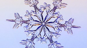 The science of snowflakes