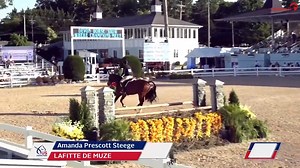65K views · 969 reactions | Lafitte de Muze ridden by Amanda Prescott Steege wins the $3000 High Performance Hunter Over Fences with a score of 93. | USEF Network | Facebook