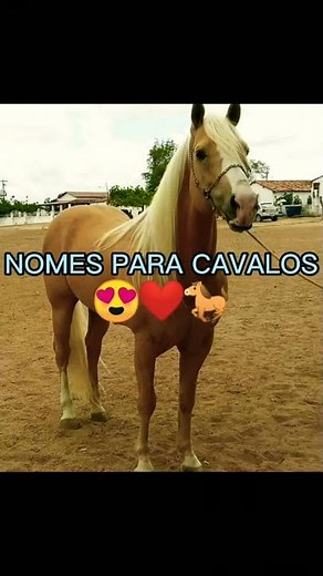 ✨🐎 NOMES PARA CAVALOS 🐎✨