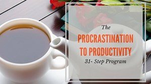 The Procrastination to Productivity Program