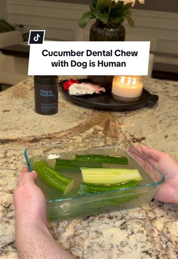 Would you try making this dog treat?! I mean who doesn’t love a homemade snack made with easy, cheap ingredients?! 🥒 Cucumber is so refreshing and it’s safe to say Aurora & Venus LOVED this treat 😍 Thank you @Dog is Human for this delicious recipe! #dogishuman #dogishumanrecipeclub #dogtreats #diy