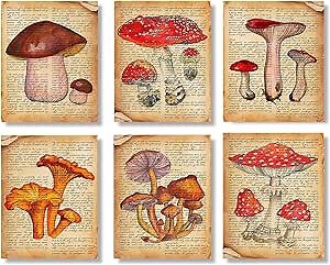 Vintage Mushroom Botanical Wall Art Prints Posters for Room Aesthetic,Kitchen,Office,Classroom,Bedroom,Dining Room Decor,Rustic Vintage Mushroom Prints,Unframed),Boho Farmhouse Style.