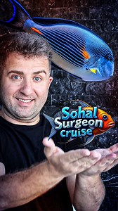 281K views · 56K reactions | Sohal Surgeon cruise - Ar Drawing The name of the app is AR Drawing @ar_drawing_app #ARDrawing #ARDrawingApp #architecture #render #inspiration #art #ai #design #sailboat Bu gönderi AR Drawing #reklam ‘ ını içermektedir Created with @airforskp @Magnific_AI | cg_fatih_eksi | Facebook