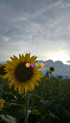 #paisajeshermosos 💫 | Sandy Rangel Pico