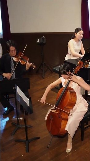 メンデルスゾーン ピアノ三重奏曲 第1番 ニ短調 作品49 第1楽章 #ヴァイオリン #violin #piano #メンデルスゾーン #ピアノトリオ