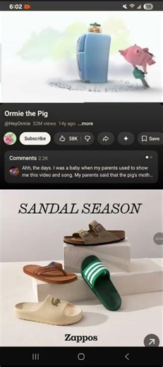 Ormie pig Chainsaw