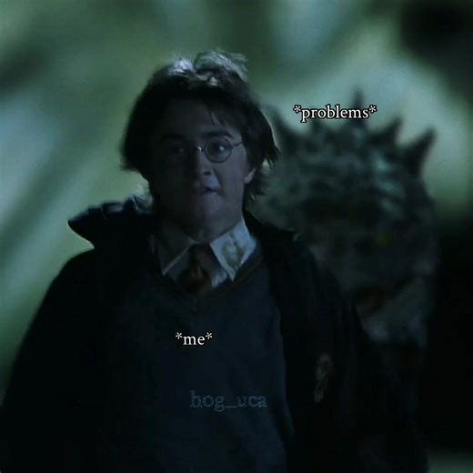 🏃‍♀️ #harrypotter #гаррипоттер #fyp #hog_uca #василиск #basilisk #me | basilisk harry potter