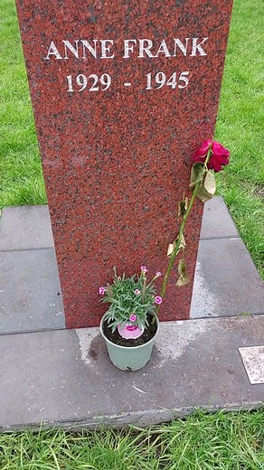 Unfortunately, Anne Frank never returned to her former home at Merwedeplein. With the placement of the bronze statue, she symbolically returns to the place where she spent part of her childhood. #annefrank #annefrankhouse #statue #merwedeplein #amsterdam #remember #ww2 #WOII #WO #WW