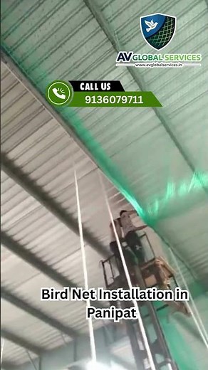 Bird Net Installation in Panipat | AV Global Services | Pigeon & Bird Net Installation Service