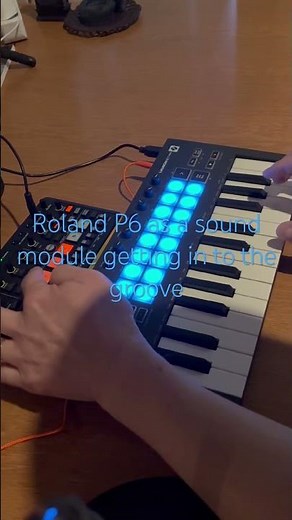 Roland P6 as a sound module Groove #p6 #roland #sampler #groove