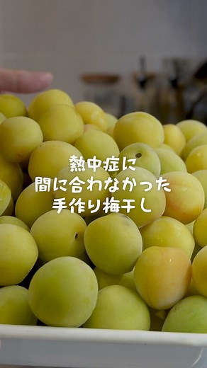 手作り梅干しで熱中症対策