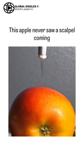 Global Giggles on Instagram: "This apple never saw a scalpel coming - The post showcases a 22-second close-up video of a scalpel precisely slicing an orange apple, producing clean cuts and squirting juice, emphasizing surgical tool sharpness for a satisfying ASMR-like effect. - Posted January 29, 2026, by Indonesian user @Erenygr21, it quotes a misspelled “Very intersting” tweet, amplifying viral curiosity about unconventional fruit prep, amassing 327k views and enthusiastic Indonesian replies l