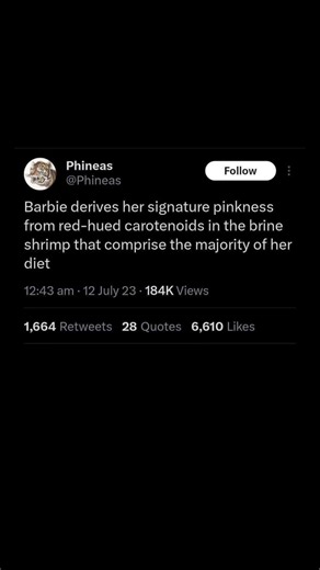 barbie pink color explained by science | Subscribe for more #motivation 😊👍