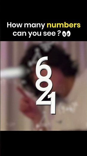 How Many Numbers Can You See?