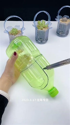 Recycle Plastic Bottles: Turn Trash into Treasure