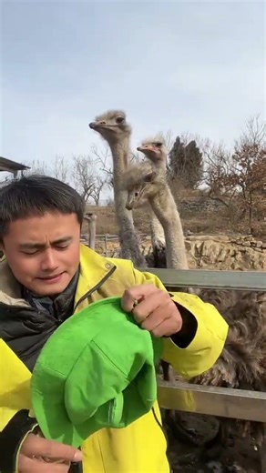 Thank you for your support.#My rural life#My rural life#Cute pets#The magical creature