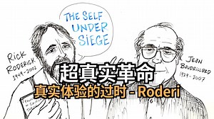 【双语音】超真实革命：真实体验的过时 - Roderi [附文稿]